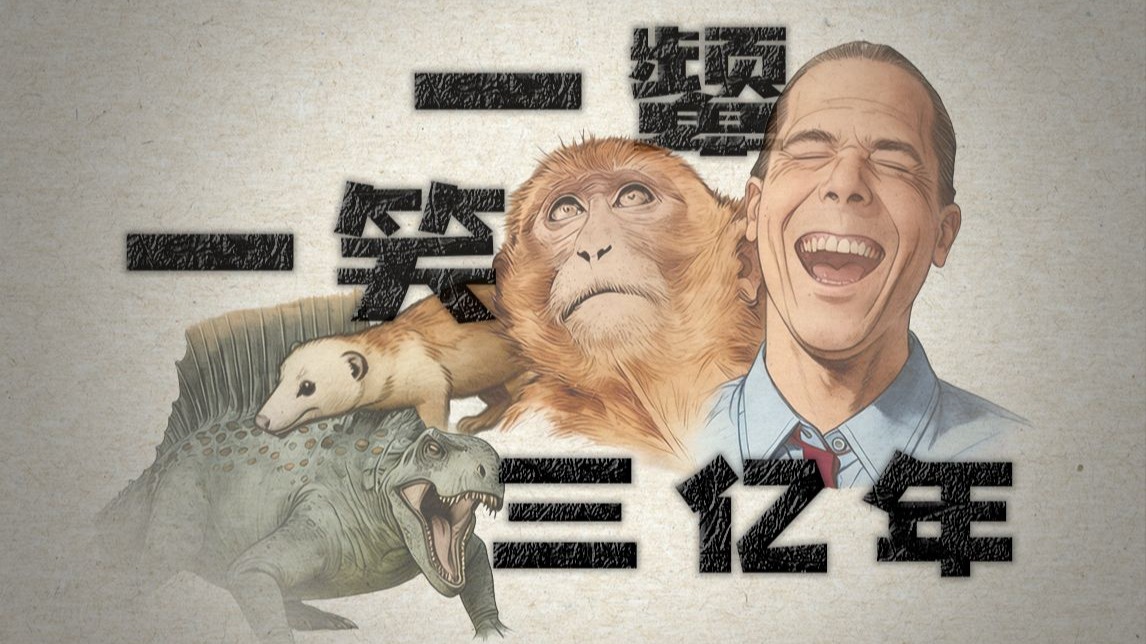 我们的脸上写满了演化故事